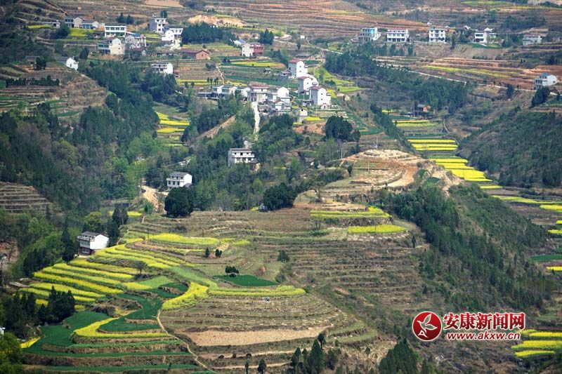 �D2.�����������̎���(gu��)��(n��i)ꑸ��أ���(d��)�߁���ɽ����ɽ����ɽ��������ص�6�N���ε�ò���c(di��n)�����˷�����Ϣ���@����˂����ò����