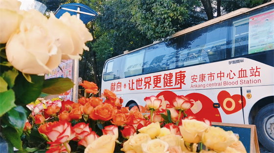 安康這三兄妹，熱血！